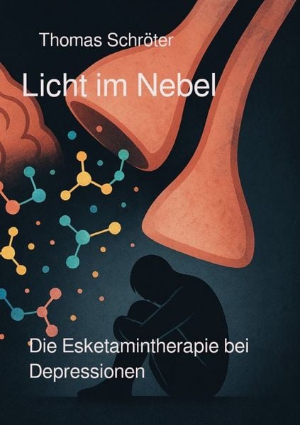 Licht im Nebel, Taschenbuch von Thomas Schröter, Epubli, 9783819782794