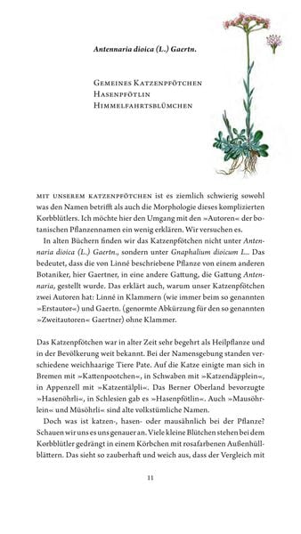 Produktbild: Jungfer im Gr&uuml;nen und Tausendg&uuml;ldenkraut