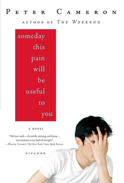 Produktbild: Someday This Pain Will Be Useful to You