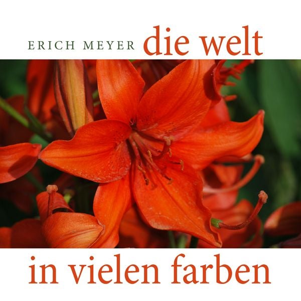 Die Welt in vielen Farben, Taschenbuch von Erich Meyer, BoD – Books on Demand, 9783744877077