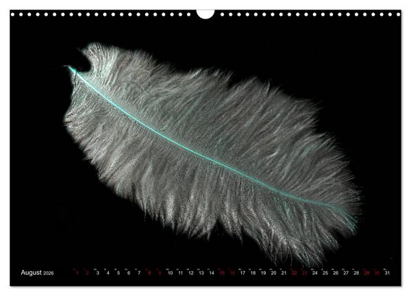 Produktbild: Federleichte Momente (Wandkalender 2026 DIN A3 quer), CALVENDO Monatskalender
