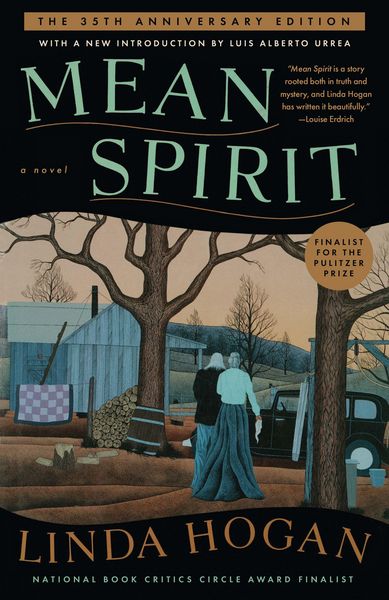 Produktbild: Mean Spirit
