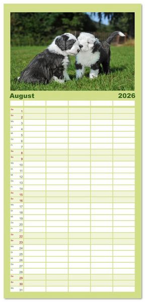 Produktbild: Familienplaner 2026 - In der Kinderstube bei Familie Bobtail mit 5 Spalten (Wandkalender, 21 x 45 cm) CALVENDO
