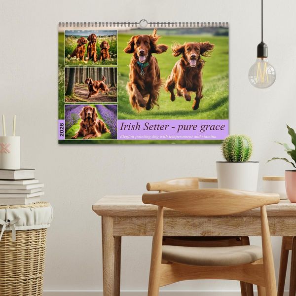Produktbild: Irish Setter - pure grace (Wall Calendar 2026 DIN A3 landscape), CALVENDO 12 Month Wall Calendar
