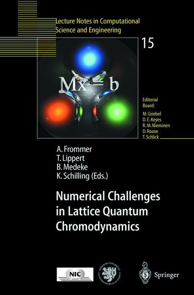 Produktbild: Numerical Challenges in Lattice Quantum Chromodynamics
