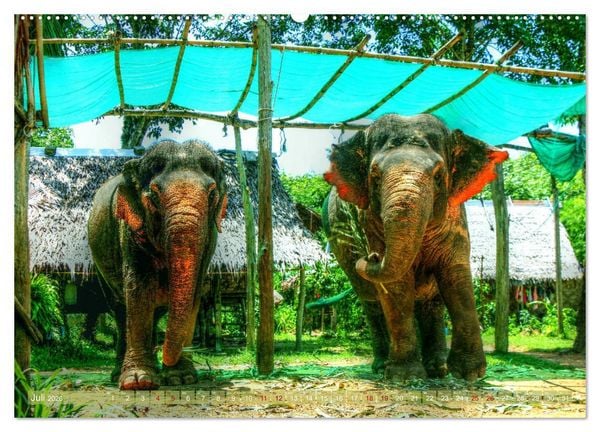 Produktbild: Thailands S&uuml;den (Wandkalender 2026 DIN A2 quer), CALVENDO Monatskalender