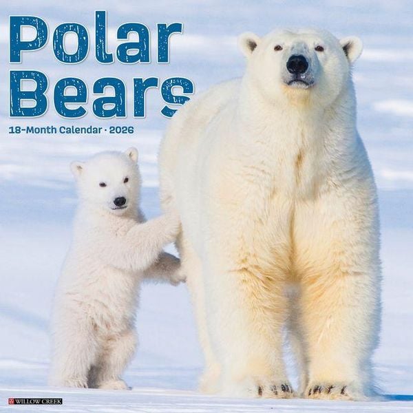 Produktbild: Polar Bears 2026 Wall Calendar