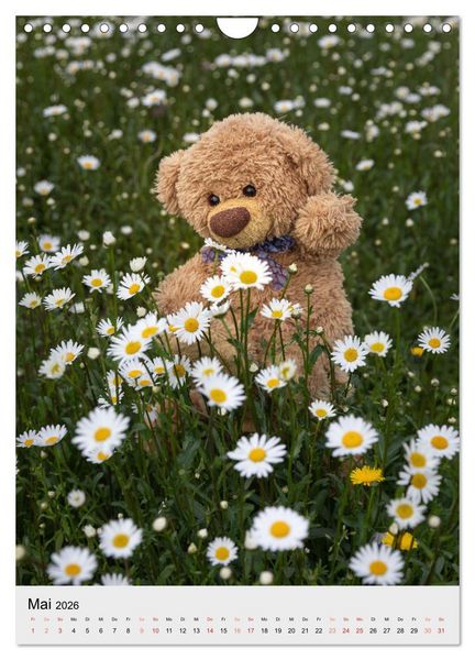 Produktbild: Travelling Teddy liebt es Bunt (Wandkalender 2026 DIN A4 hoch), CALVENDO Monatskalender