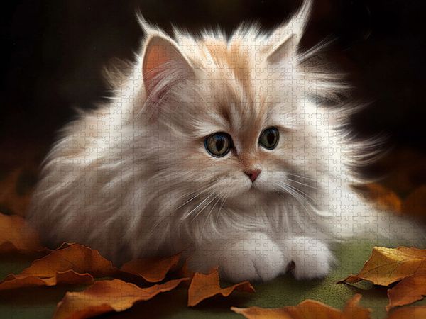 Produktbild: CALVENDO Puzzle Ein Motiv aus dem Kalender Zauberhafte Fluffies | 1000 Teile Lege-Gr&ouml;&szlig;e 64x48cm Foto-Puzzle f&uuml;r gl&uuml;ckliche Stunden