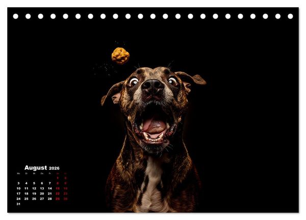 Produktbild: Leckerchen! (Tischkalender 2026 DIN A5 quer), CALVENDO Monatskalender