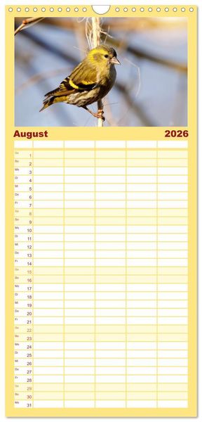 Produktbild: Familienplaner 2026 - Erlenzeisige mit 5 Spalten (Wandkalender, 21 x 45 cm) CALVENDO