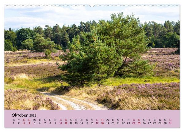 Produktbild: L&uuml;neburger Heide Wege (Wandkalender 2026 DIN A2 quer), CALVENDO Monatskalender