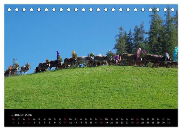 Produktbild: Almabtrieb in Tirol (Tischkalender 2026 DIN A5 quer), CALVENDO Monatskalender