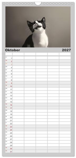 Produktbild: Familienplaner 2027 - Auch Katzen lachen gern mit 5 Spalten (Wandkalender, 21 x 45 cm) CALVENDO