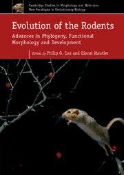 Produktbild: Evolution of the Rodents: Volume 5