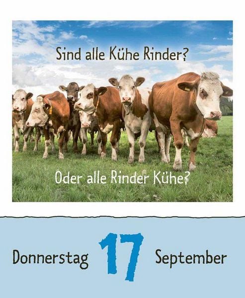 Produktbild: Wie faul ist das Faultier? 2026