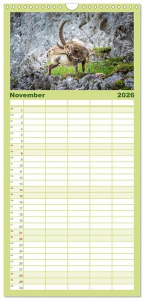 Produktbild: Familienplaner 2026 - Steinb&ouml;cke - Majest&auml;tische Tiere der Alpen mit 5 Spalten (Wandkalender, 21 x 45 cm) CALVENDO