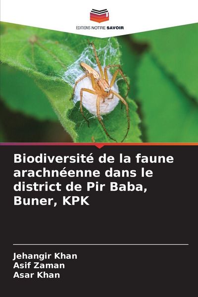 Produktbild: Biodiversit&eacute; de la faune arachn&eacute;enne dans le district de Pir Baba, Buner, KPK