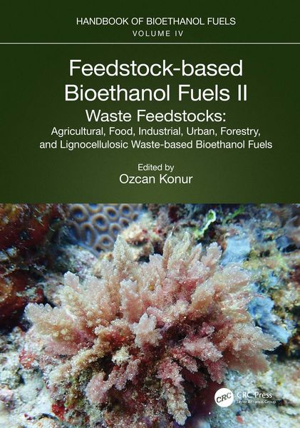 Produktbild: Feedstock-based Bioethanol Fuels. II. Waste Feedstocks