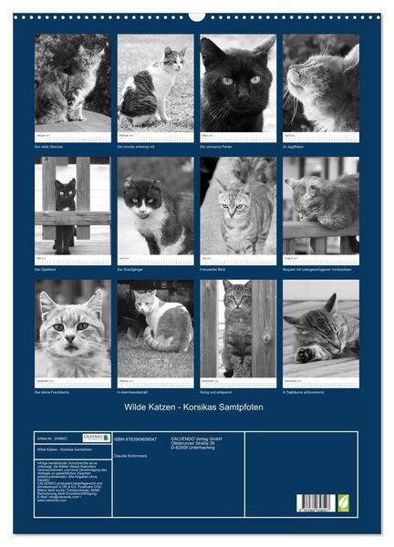Produktbild: Wilde Katzen - Korsikas Samtpfoten (Wandkalender 2027 DIN A2 hoch), CALVENDO Monatskalender