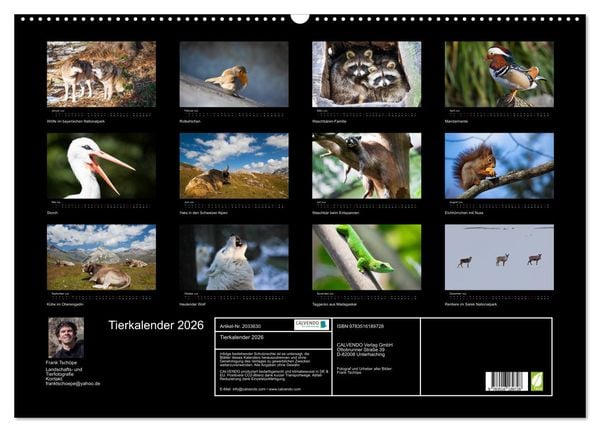 Produktbild: Tierkalender 2026 (Wandkalender 2026 DIN A2 quer), CALVENDO Monatskalender