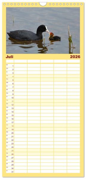 Produktbild: Familienplaner 2026 - Tierbabys 2026 mit 5 Spalten (Wandkalender, 21 x 45 cm) CALVENDO