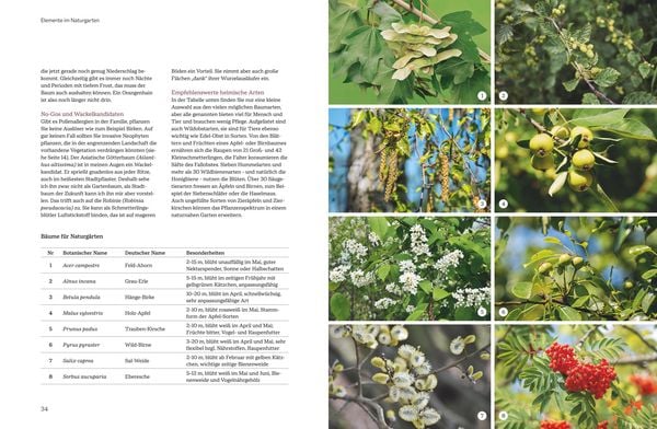 Produktbild: Pflegeleichte Naturg&auml;rten gestalten