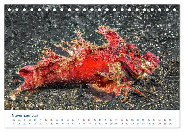 Produktbild: Die Farben im Meer (Tischkalender 2026 DIN A5 quer), CALVENDO Monatskalender