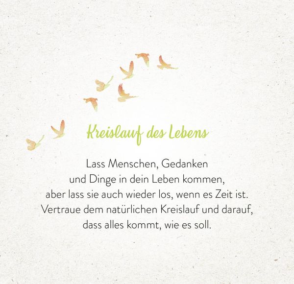 Produktbild: 365 Inspirationen aus der Natur