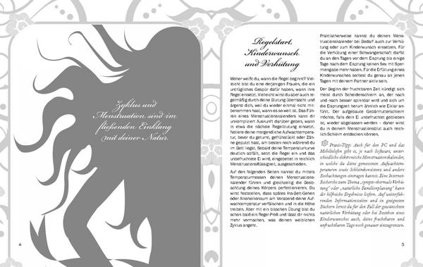 Produktbild: Alle meine Tage - Menstruationskalender