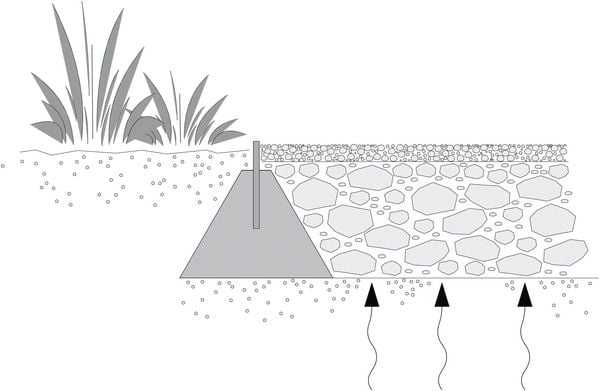 Produktbild: Junges Gartendesign