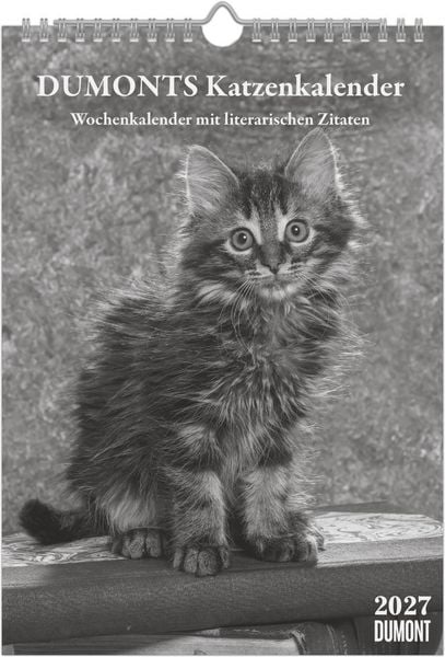 Produktbild: DUMONTS Katzenkalender 2027