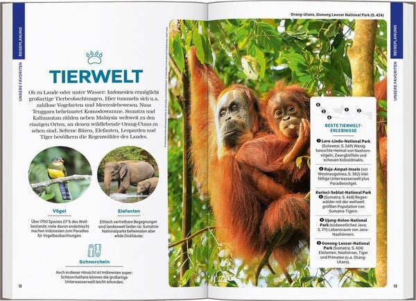 Produktbild: Reisef&uuml;hrer Indonesien