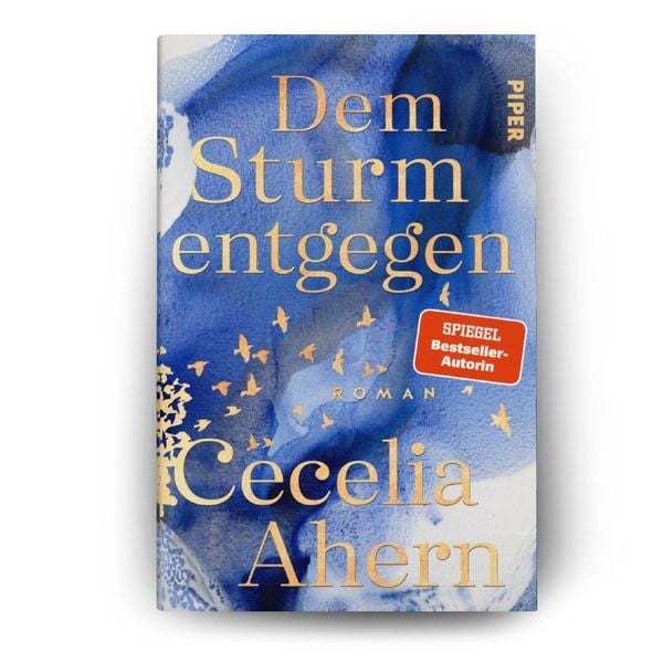Produktbild: Dem Sturm entgegen