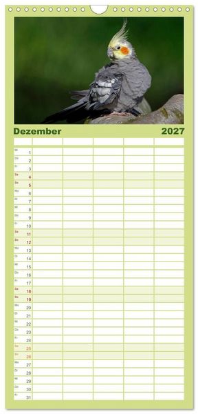 Produktbild: Familienplaner 2027 - Nymphensittiche mit 5 Spalten (Wandkalender, 21 x 45 cm) CALVENDO