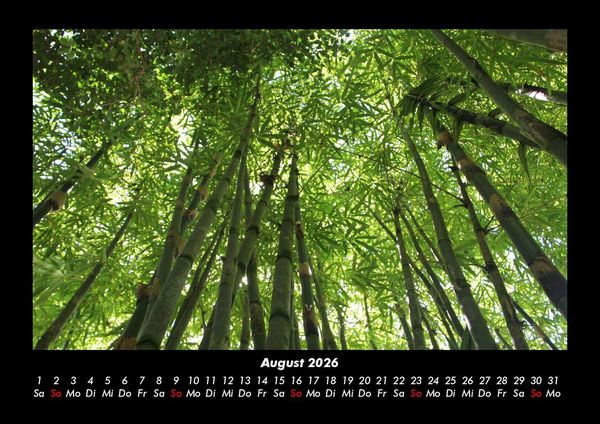 Produktbild: Waldzauber 2026 Fotokalender DIN A3