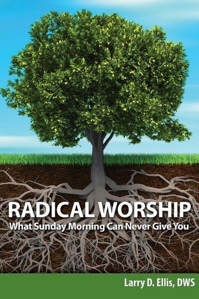 Produktbild: Radical Worship: What Sunday Morning Can Never Give You