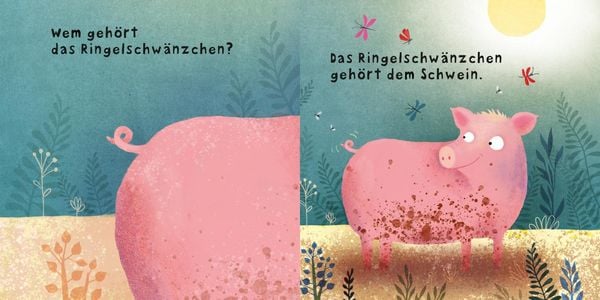 Produktbild: Baby Pixi (unkaputtbar) 78: Wem geh&ouml;rt der lange R&uuml;ssel?