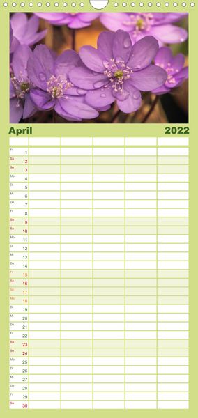 Produktbild: Familienplaner Weltnaturerbe Hainich (Wandkalender 2022 , 21 cm x 45 cm, hoch)