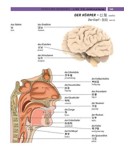 Produktbild: PONS Bildw&ouml;rterbuch Koreanisch