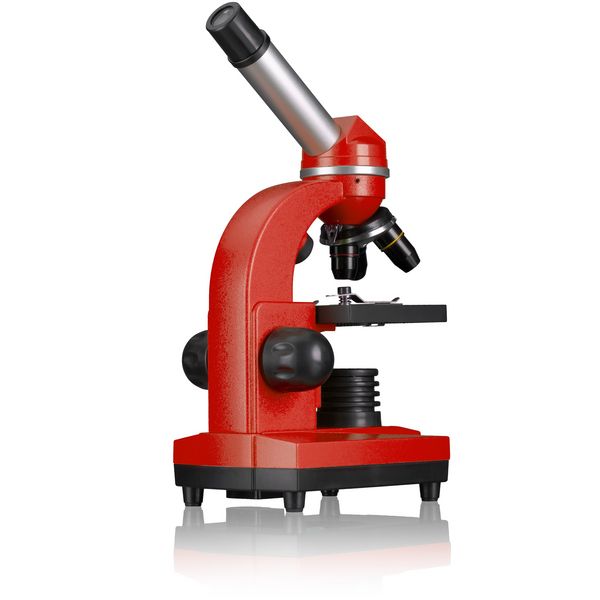 Produktbild: Bresser Junior 13522 - Sch&uuml;ler-Mikroskop Biolux SEL (rot), Auf- und Durchlichtmikroskop mit 40x-1.600-facher Vergr&ouml;&szlig;erung
