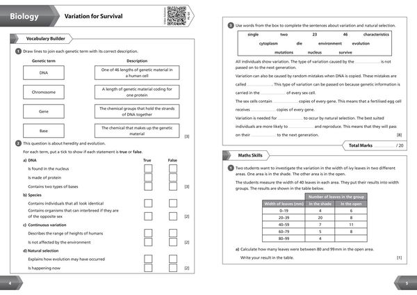 Produktbild: KS3 SCIENCE YR 9 WB_KS3 REV