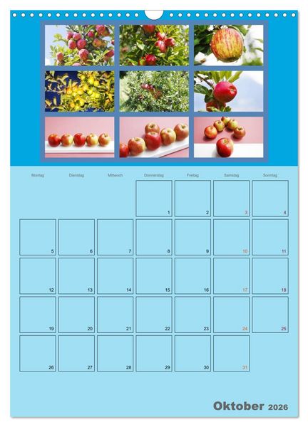 Produktbild: Food (Wandkalender 2026 DIN A3 hoch), CALVENDO Monatskalender