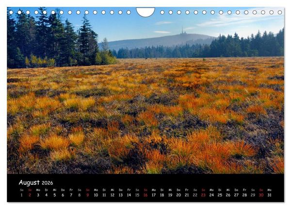 Produktbild: Faszination Harz 2026 (Wandkalender 2026 DIN A4 quer), CALVENDO Monatskalender