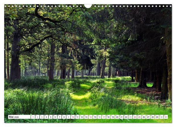 Produktbild: Wege gehen... (Wandkalender 2026 DIN A3 quer), CALVENDO Monatskalender