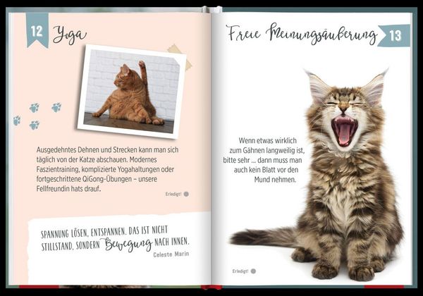 Produktbild: 100 Dinge, die man von einer Katze lernen kann