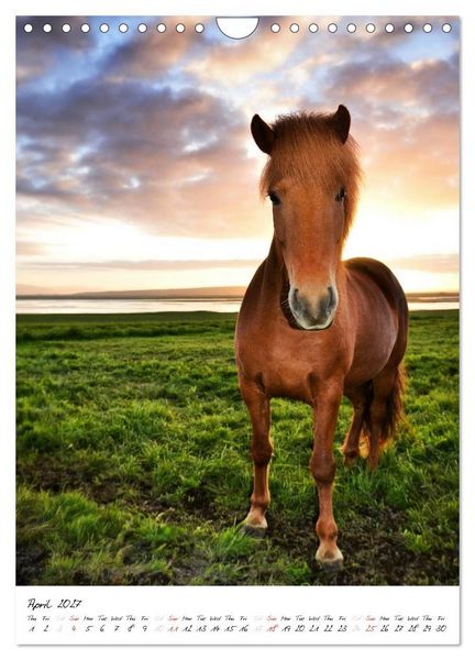 Produktbild: Iceland Calendar 2027 - Discover unique nature - UK Version (Wall Calendar 2027 DIN A4 portrait), CALVENDO 12 Month Wall Calendar