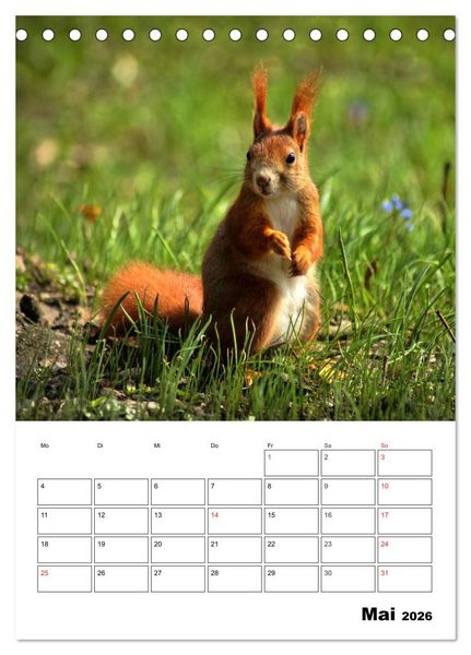 Produktbild: Heimische Wildtiere Terminplaner (Tischkalender 2026 DIN A5 hoch), CALVENDO Monatskalender