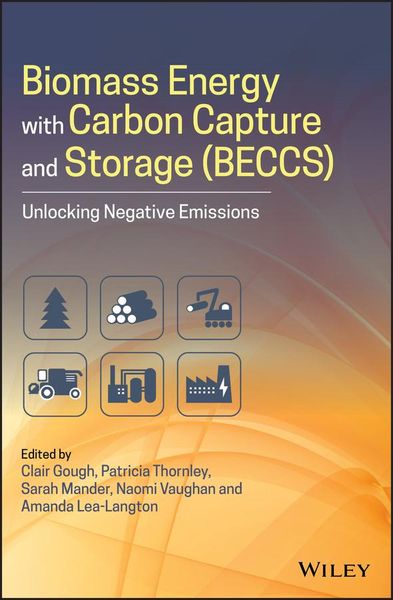 Produktbild: Biomass Energy with Carbon Capture and Storage (Beccs)