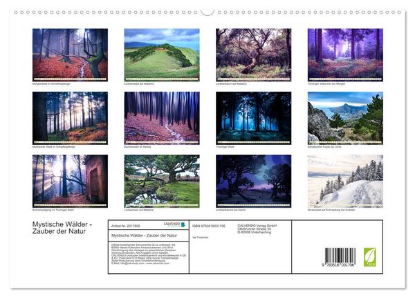 Produktbild: Mystische W&auml;lder - Zauber der Natur (hochwertiger Premium Wandkalender 2026 DIN A2 quer), Kunstdruck in Hochglanz